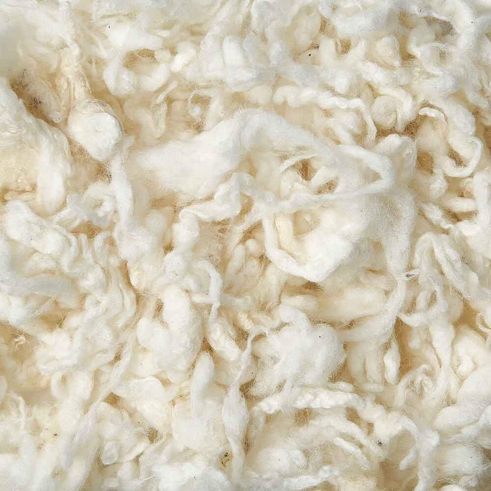 Scoured wool fiber